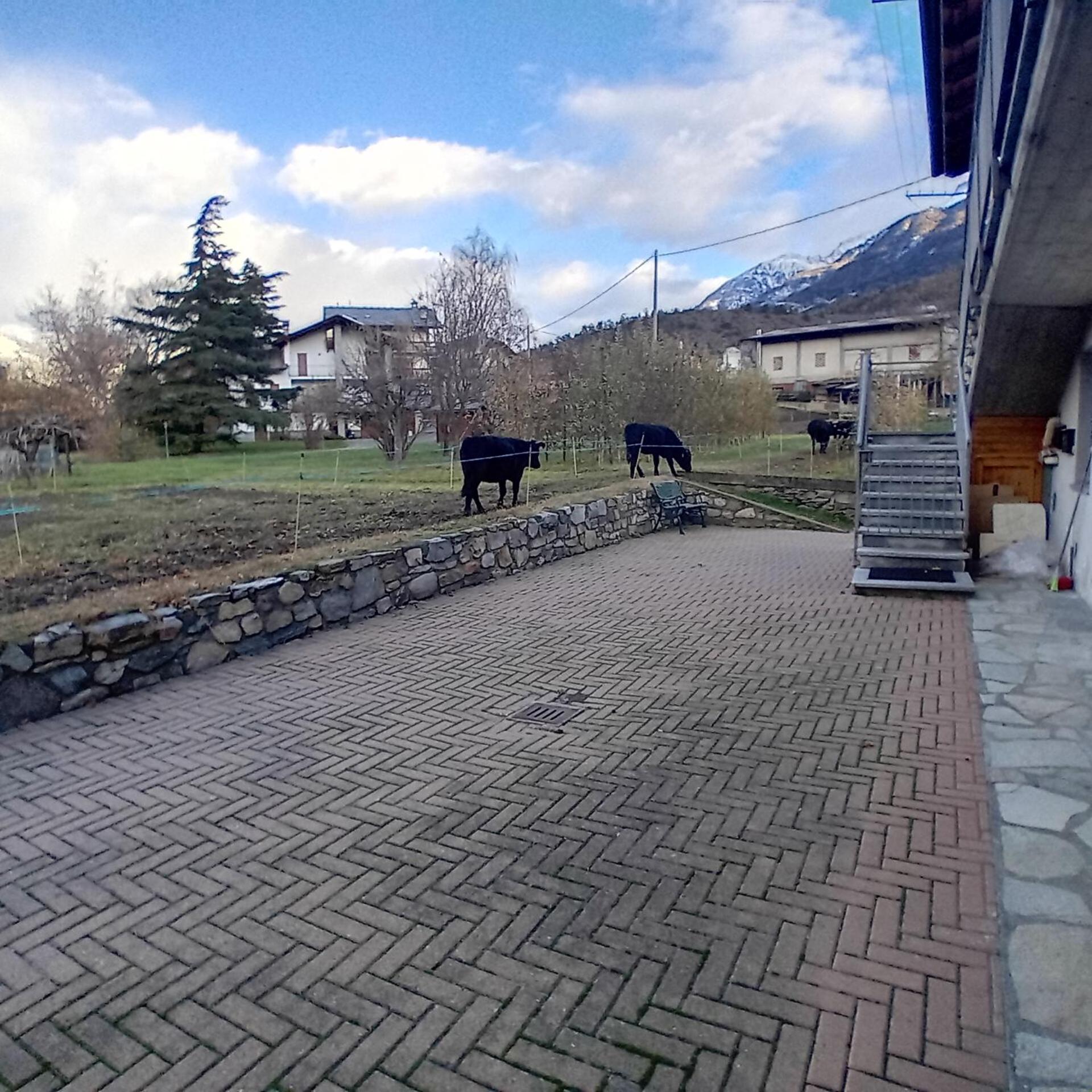 Maison Clair Vda Gressan N 0094 Aosta Camera foto